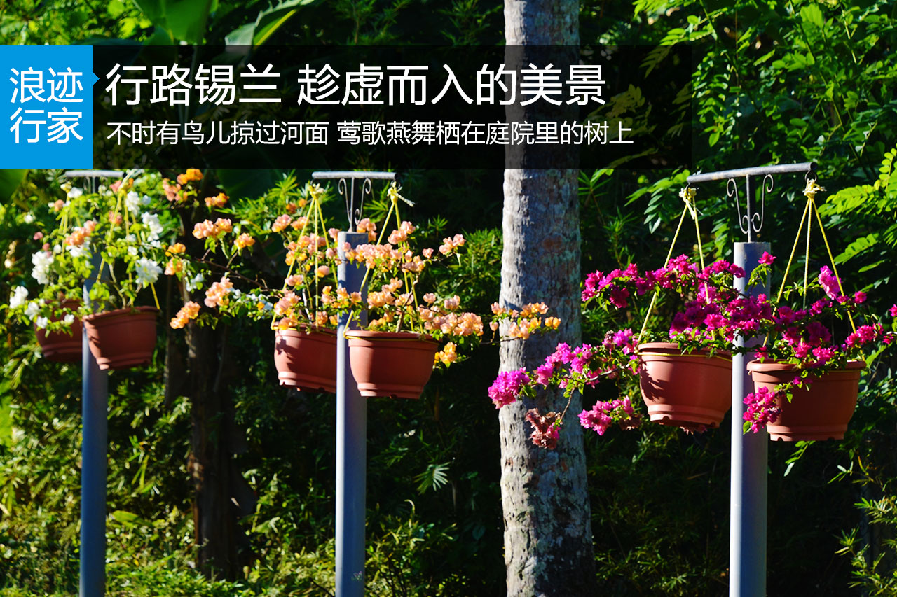 行家：行路锡兰 趁虚而入的美景