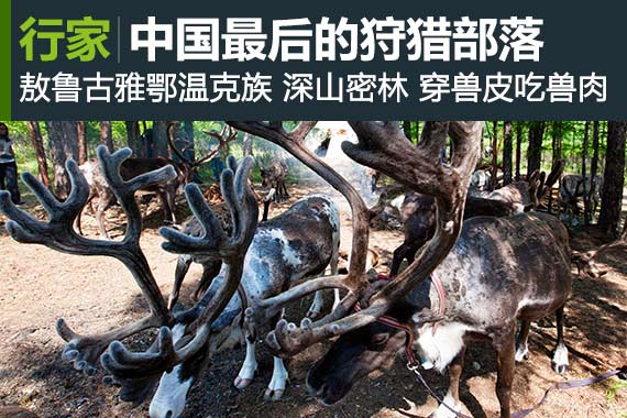 行家：使鹿部落 中国最后的狩猎部落