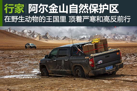 行家：勇闯无人区 阿尔金山自然保护区