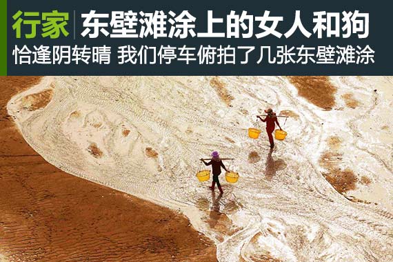 行家：霞浦 东壁滩涂上的女人和狗
