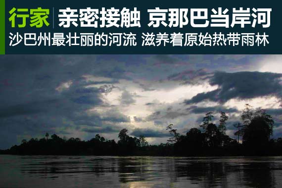 行家：京那巴当岸河 第一次亲密接触