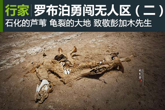 行家：穿越罗布泊 勇闯无人区（二）