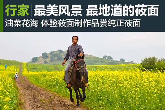 行家：坝上最美风景 最地道的莜面