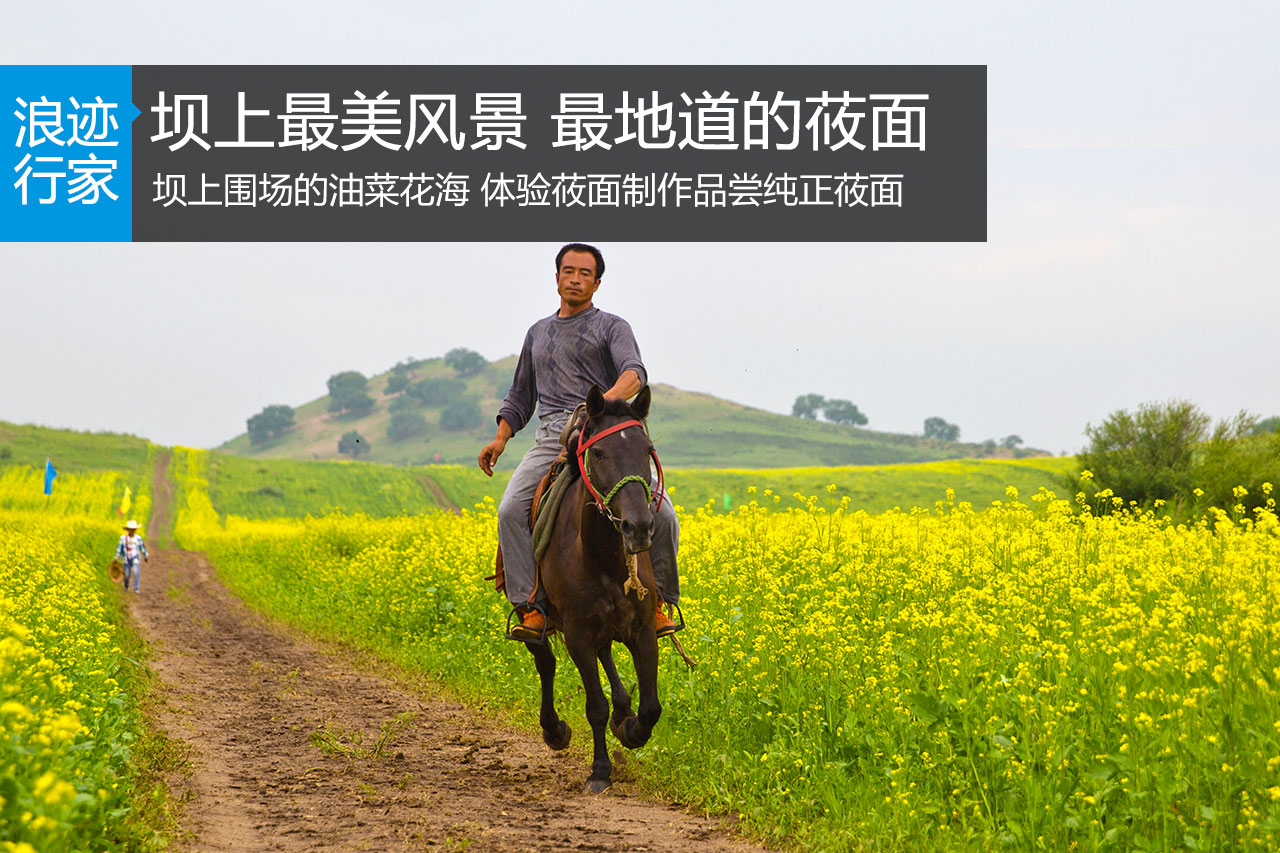 行家：坝上最美风景 最地道的莜面