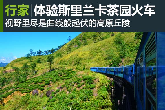 行家：上山下海 斯里兰卡茶园火车