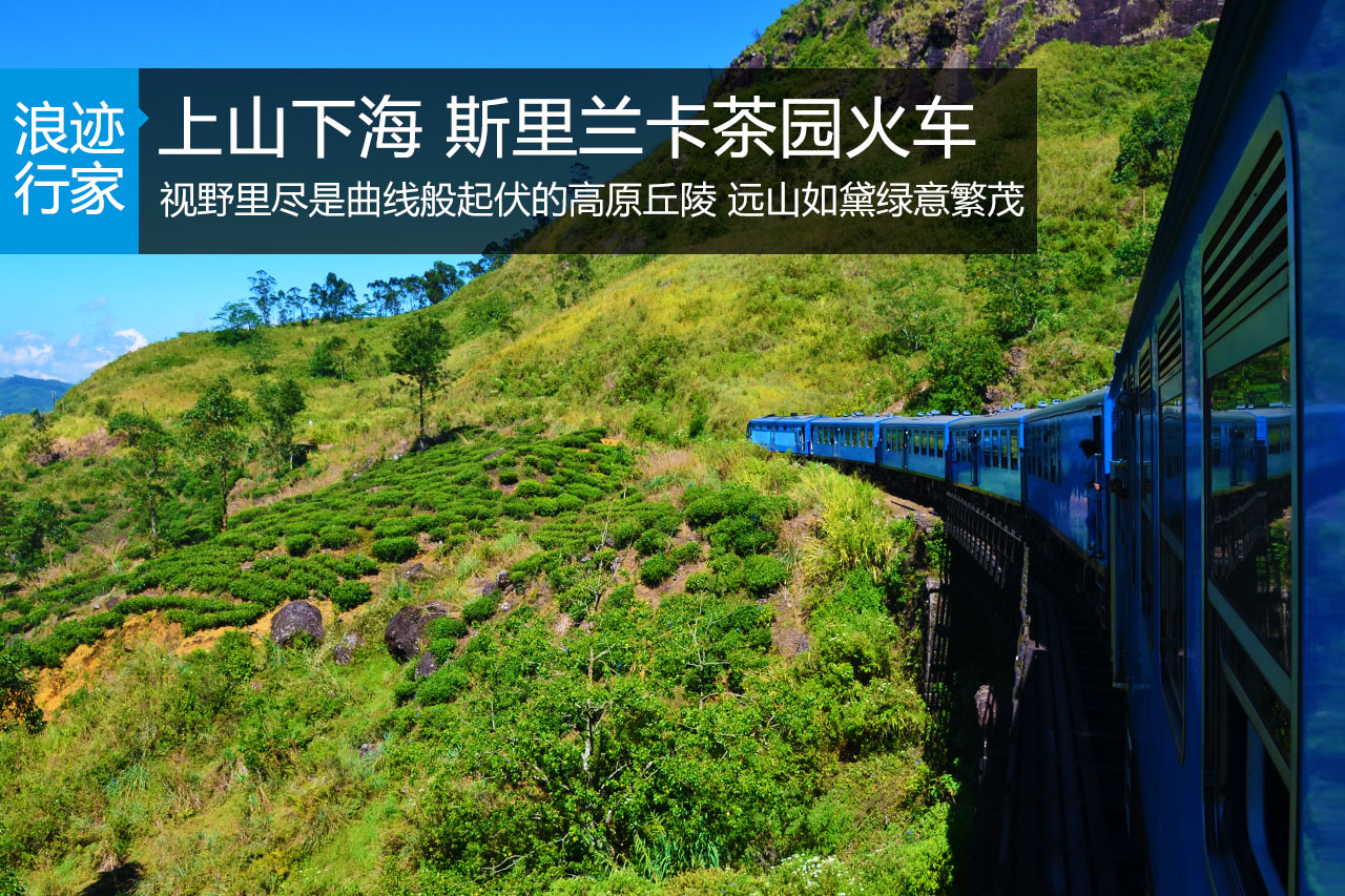 行家：上山下海 斯里兰卡茶园火车