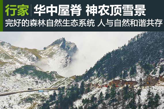 行家：华中屋脊 腾云驾雾神农顶雪景