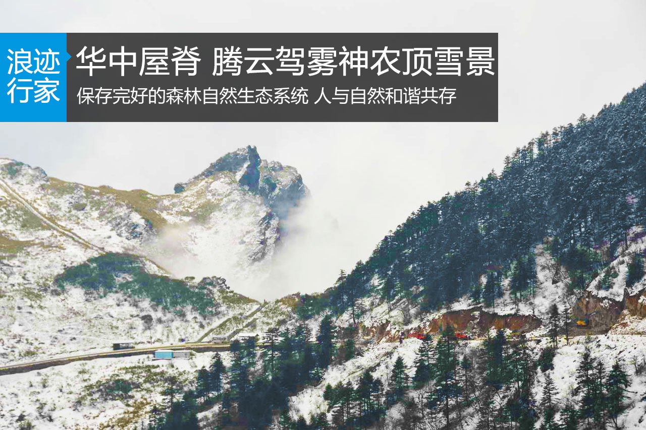 行家：华中屋脊 腾云驾雾神农顶雪景