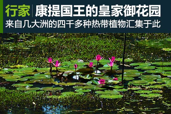 行家：亚洲最大 康提国王的御花园