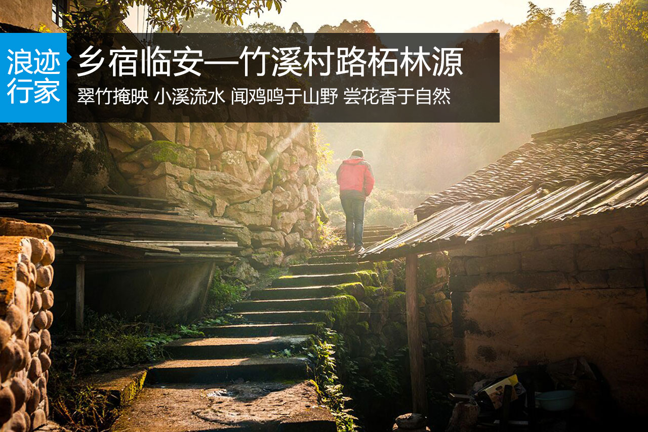 行家：乡宿临安—竹溪村路柘林源