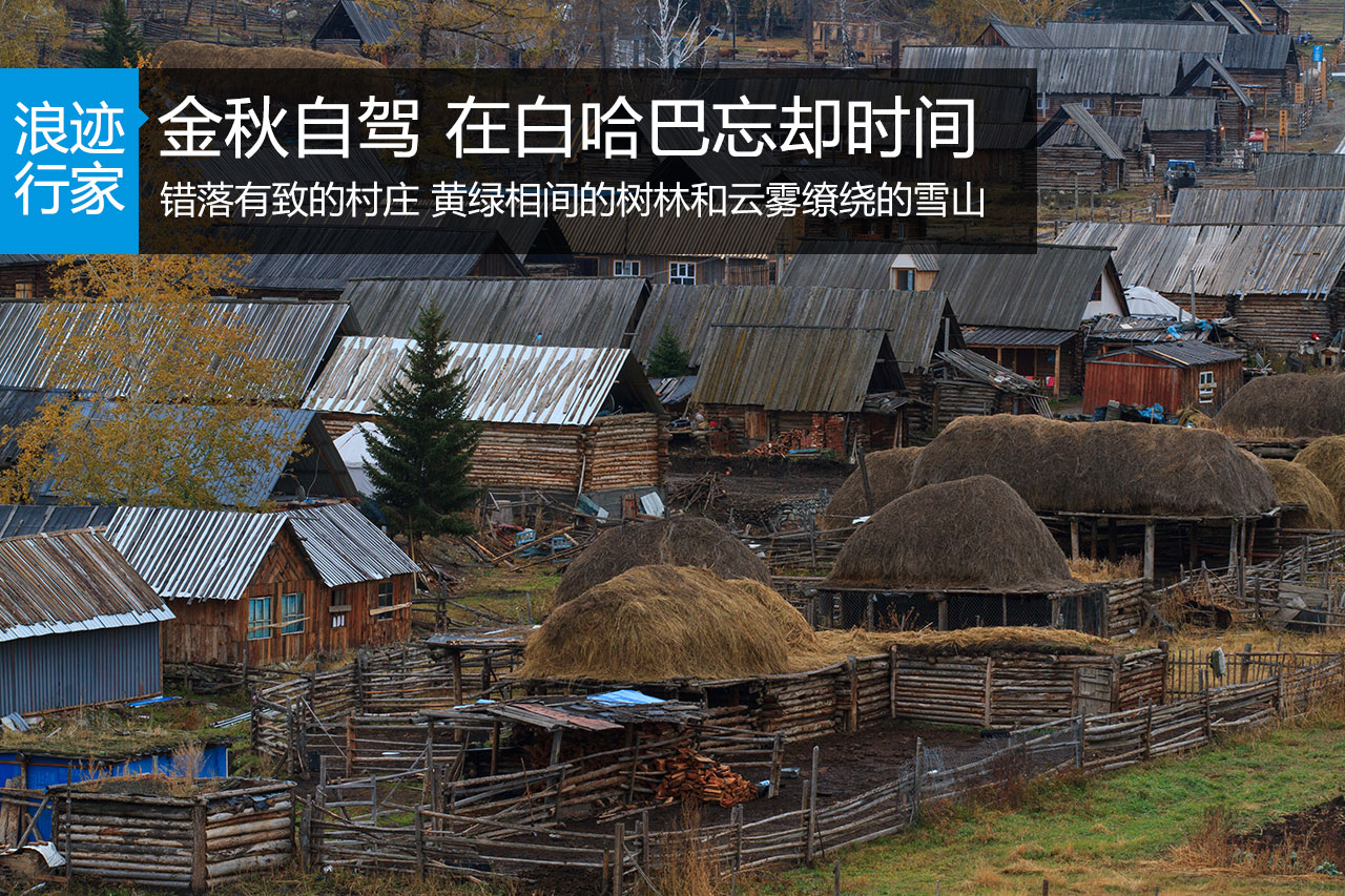 行家：金秋自驾 在白哈巴忘却时间