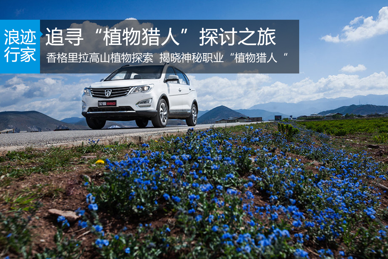 行家：追寻“植物猎人”印记，香格里拉