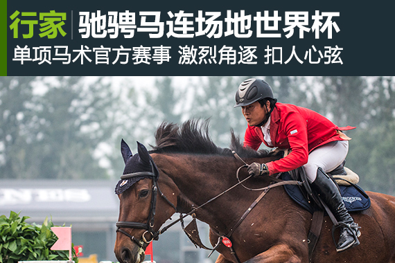 行家：驰骋在马联场地障碍世界杯赛场上