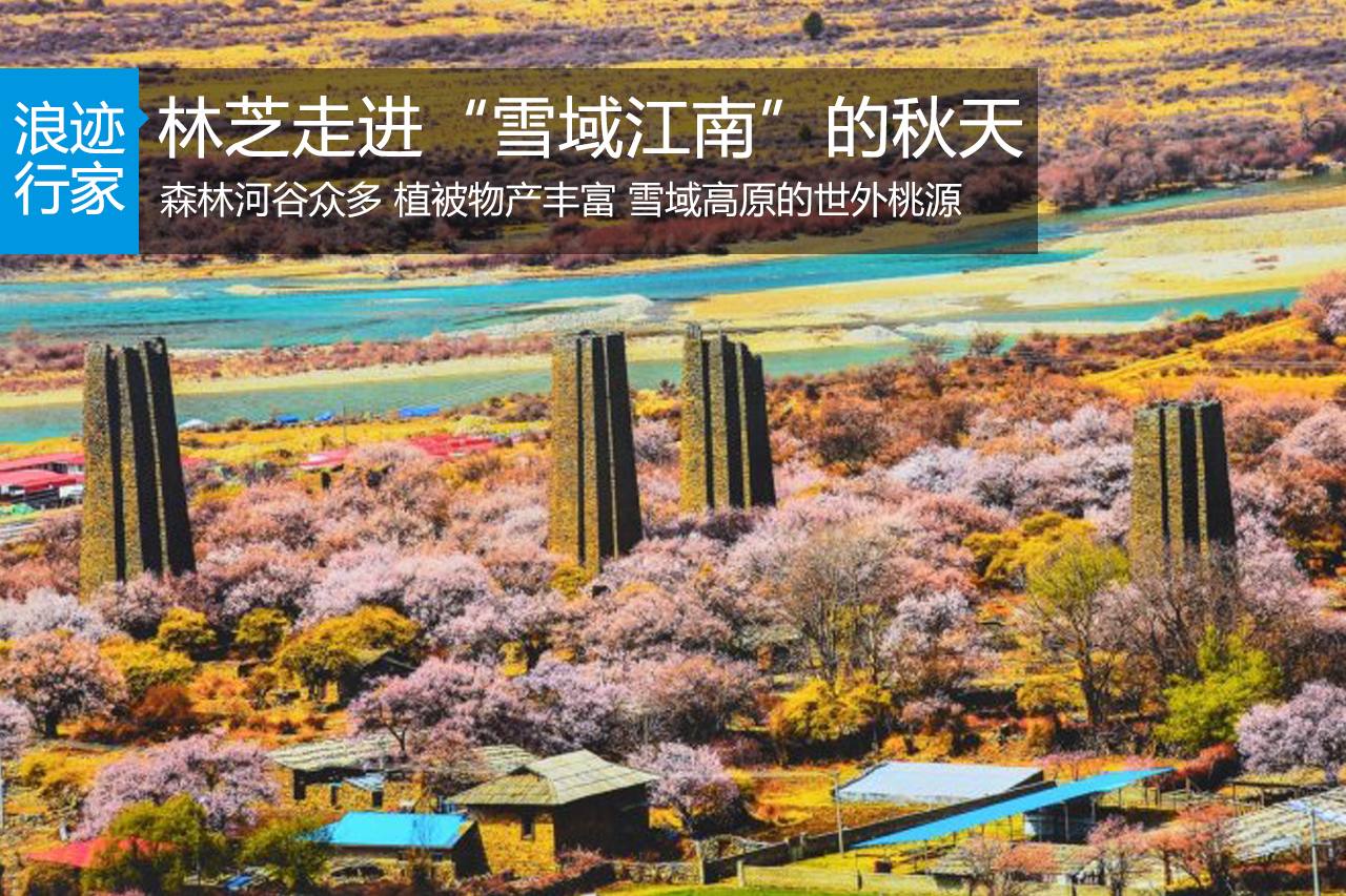 行家：林芝，走进“雪域江南”的秋天