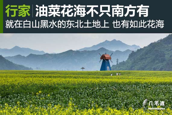 东北鸭绿江也有万亩油菜花海