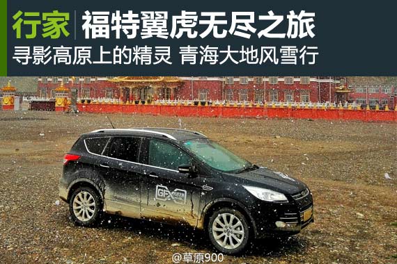 行家：寻影高原上的精灵，青海风雪行