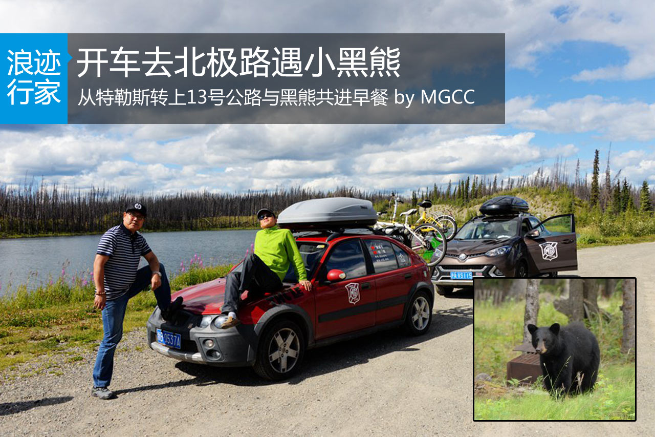行家：开车去北极遭遇熊出没