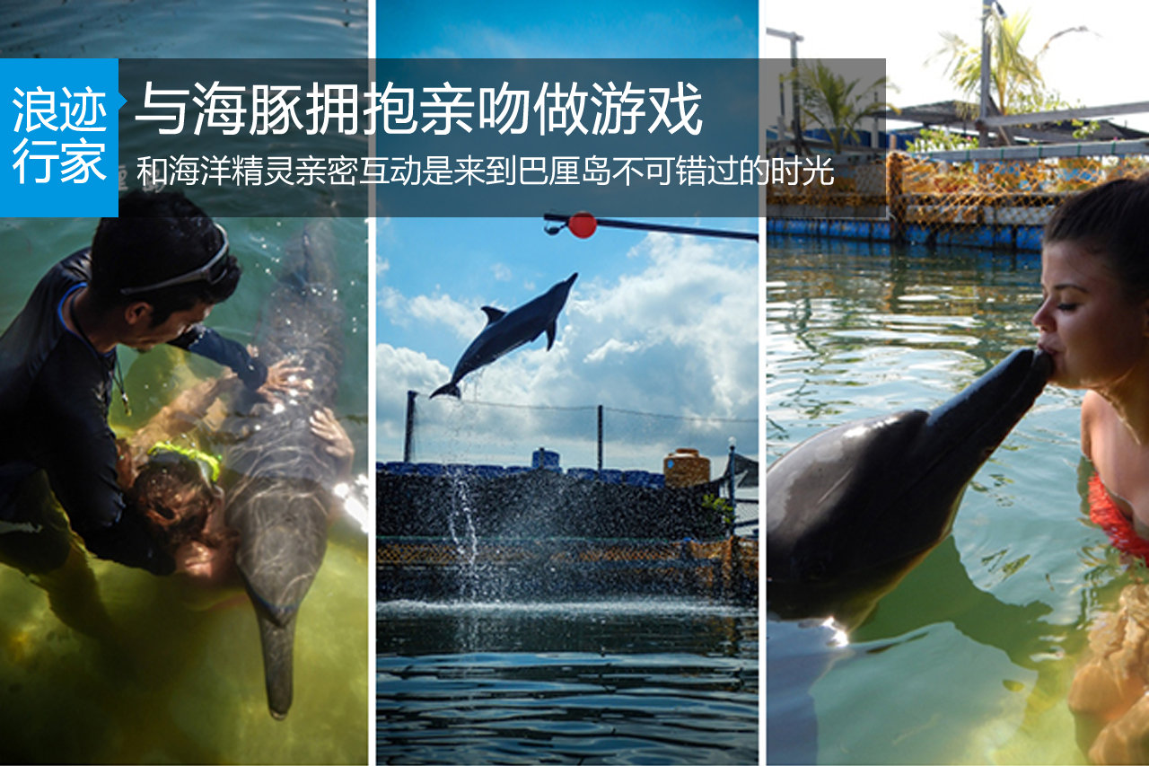 拥抱亲吻做游戏 巴厘岛与海豚亲密互动