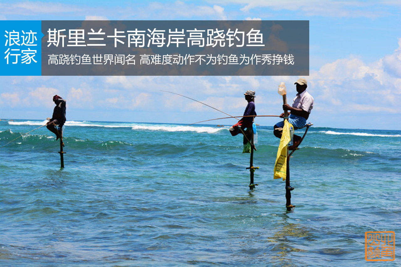 钓鱼还是练瑜伽？斯里兰卡高跷钓鱼
