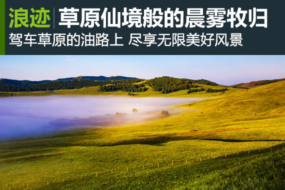 行家：惊喜坝上草原 仙境般的晨雾和牧归