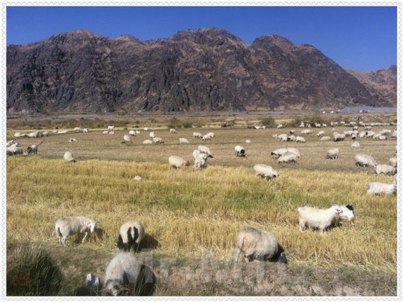 圆梦西藏 一个草根摩友的真实摩旅记录