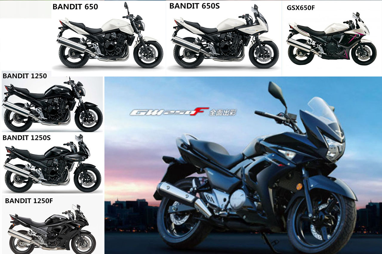 豪爵铃木发布新车型 GW250-F前瞻