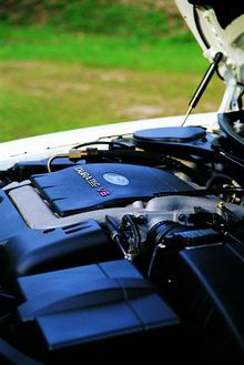 高原试驾蒙迪欧2.5 V6(图)