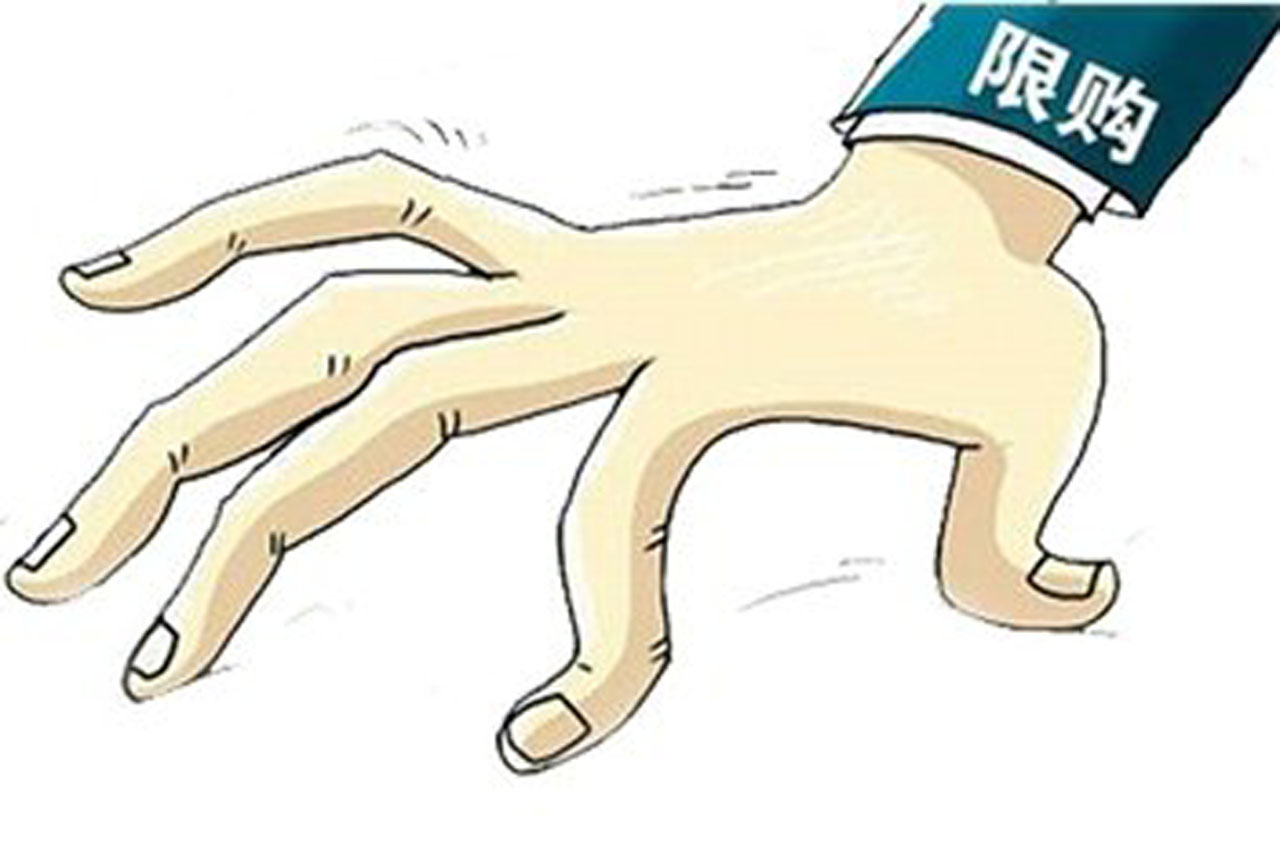 杭州突袭汽车“限牌” 4S店现疯狂抢购潮