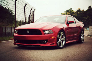 Gone Wild! 体验赛麟野马302