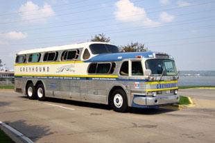 一条猎狗与它的百年传奇 美国灰狗巴士