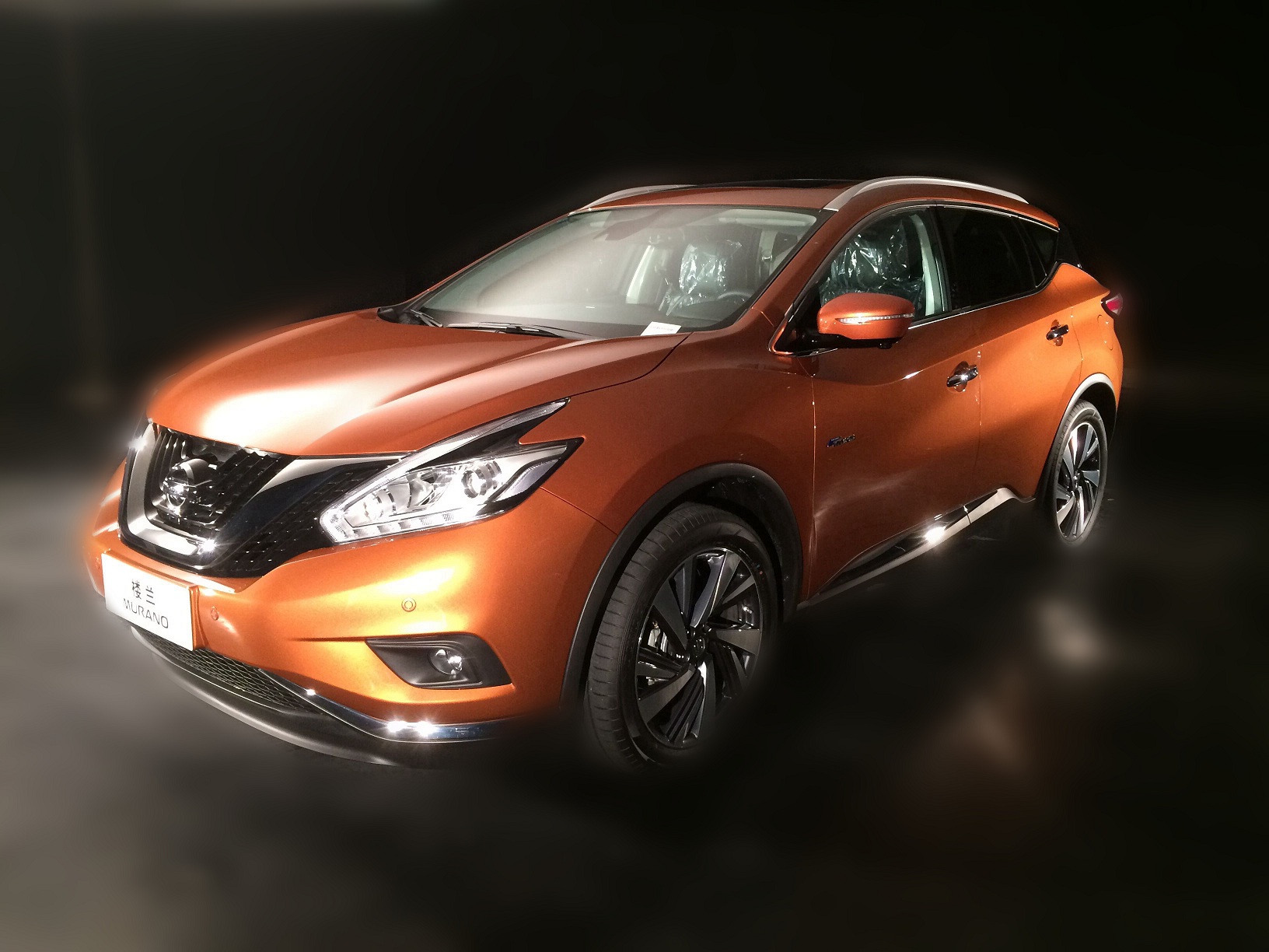 全新家族脸谱颜值爆表 国产新楼兰谍照