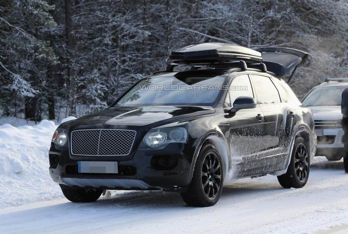 宾利有意推出更多SUV 定位低于Bentayga
