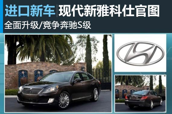 现代新雅科仕官图 全面升级/竞争奔驰S