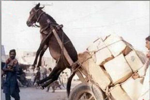 小马拉大车真的不好么？