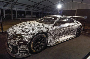 快马加鞭 宝马M6 GT3首秀Daytona 24小时