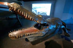 水下护卫队 没有它们邦德可能都淹死了