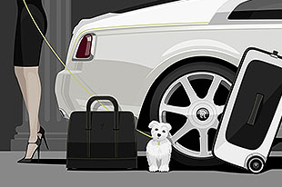 魅影车主必入 45,854美金的旅行箱包组合