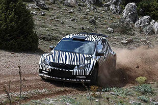 玩转WRC 斯柯达提前发布晶锐R5