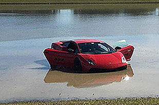 两千匹暴烈小牛失控下湖洗澡