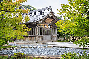 东瀛游记 2015雷克萨斯匠心之旅_车致