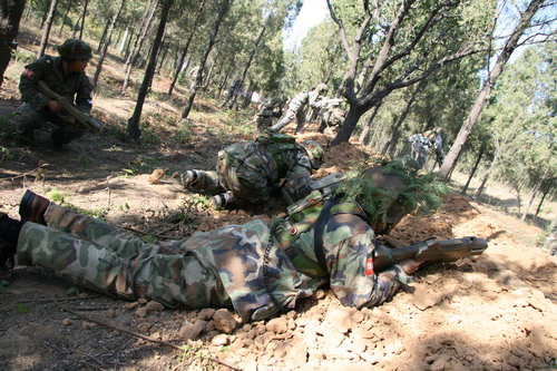 ԽҰCS�Կ�������ͼƬ