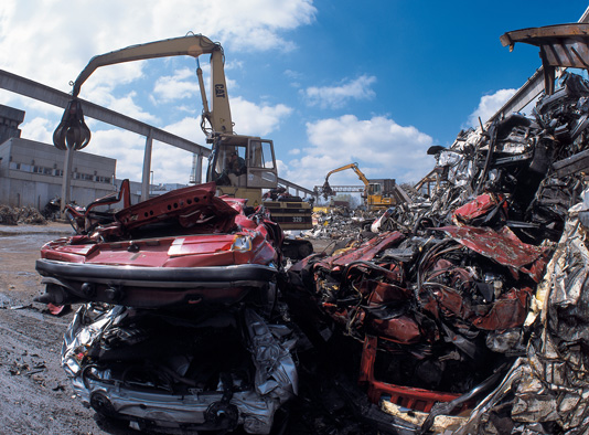 �����ɳ���������