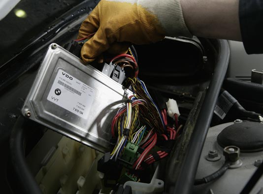 �����ɳ���������