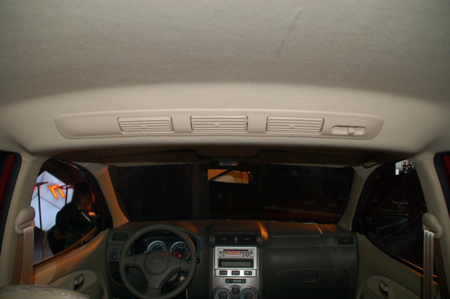 ɭ������ͼƬ