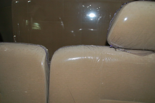 ɭ������ͼƬ