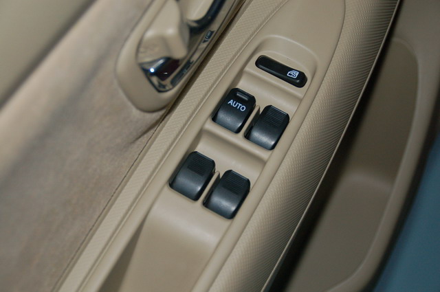 ɭ������ͼƬ