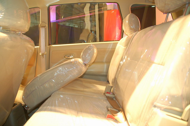 ɭ������ͼƬ