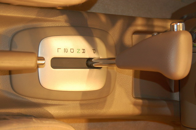 ɭ������ͼƬ