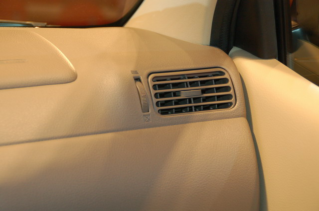 ɭ������ͼƬ