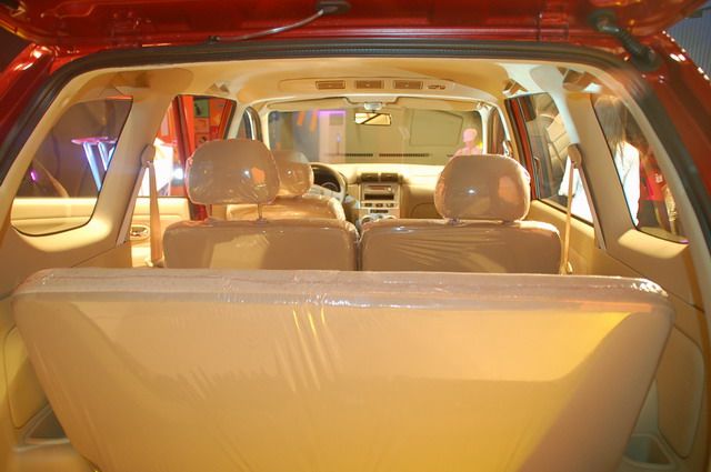 ɭ������ͼƬ